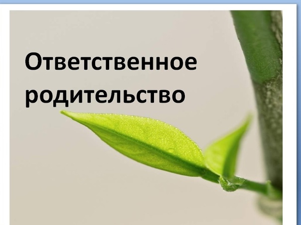 Ответственное родительство.